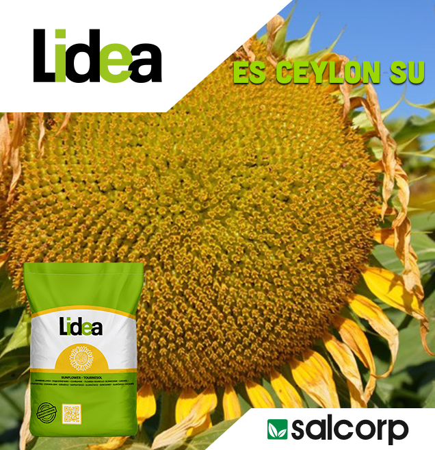 LIDEA LID 5053 SU